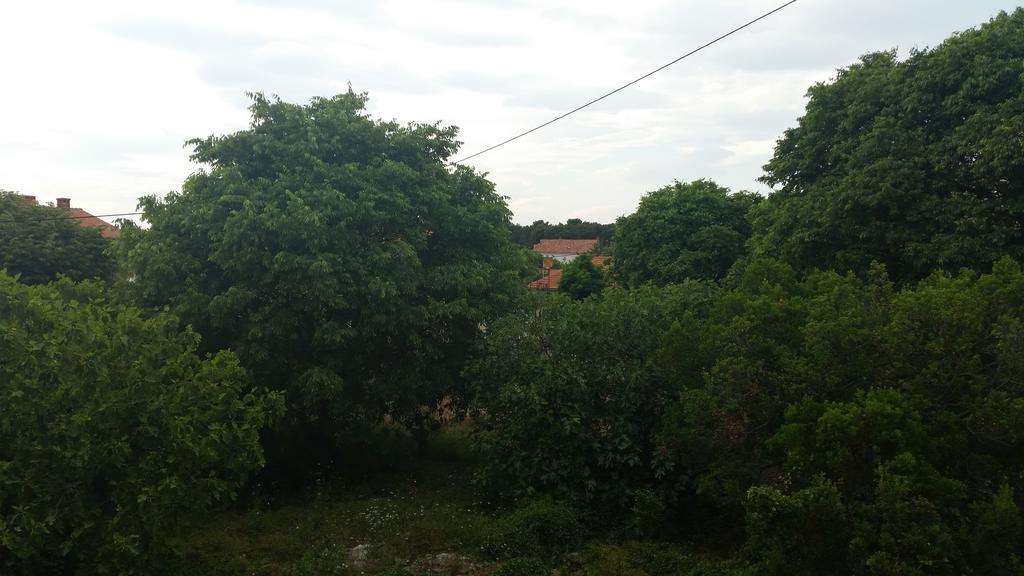 Apartments Lola Biograd Na Moru Εξωτερικό φωτογραφία